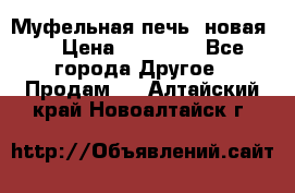 Муфельная печь (новая)  › Цена ­ 58 300 - Все города Другое » Продам   . Алтайский край,Новоалтайск г.